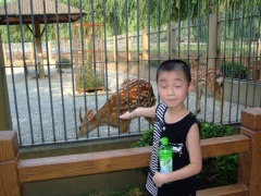 贝贝军团 (8).jpg