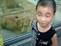 贝贝军团 (16).jpg