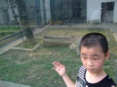 贝贝军团 (10).jpg