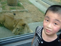 贝贝军团 (11).jpg