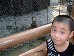 贝贝军团 (12).jpg