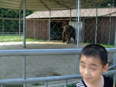 贝贝军团 (15).jpg