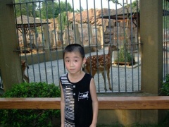 贝贝军团 (14).jpg